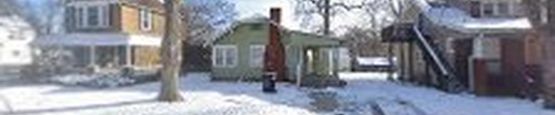 Quality Tree Care 4 Less