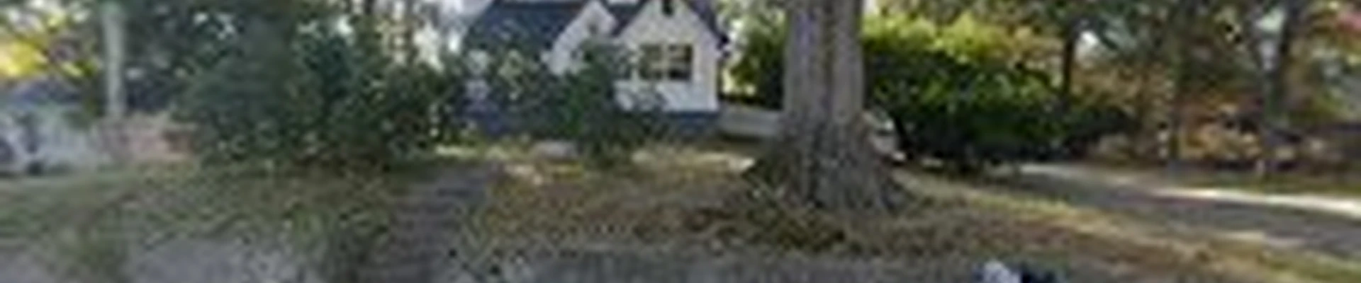 Treeman Services LLC