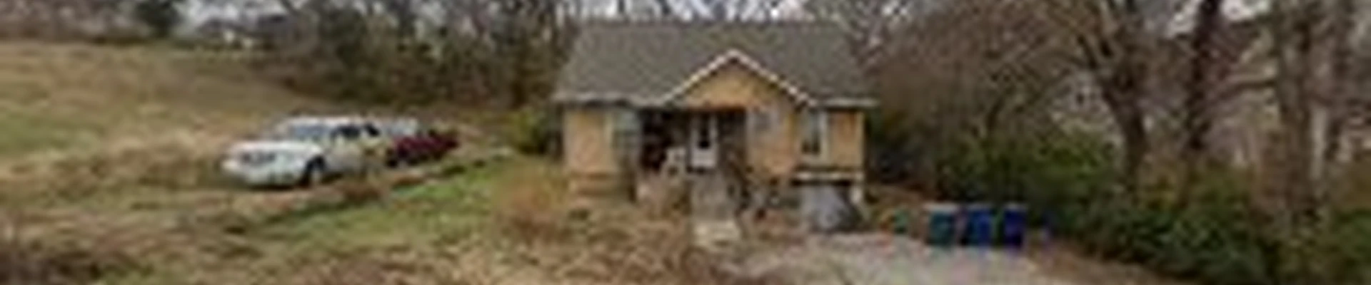 Clean Cuts tree service