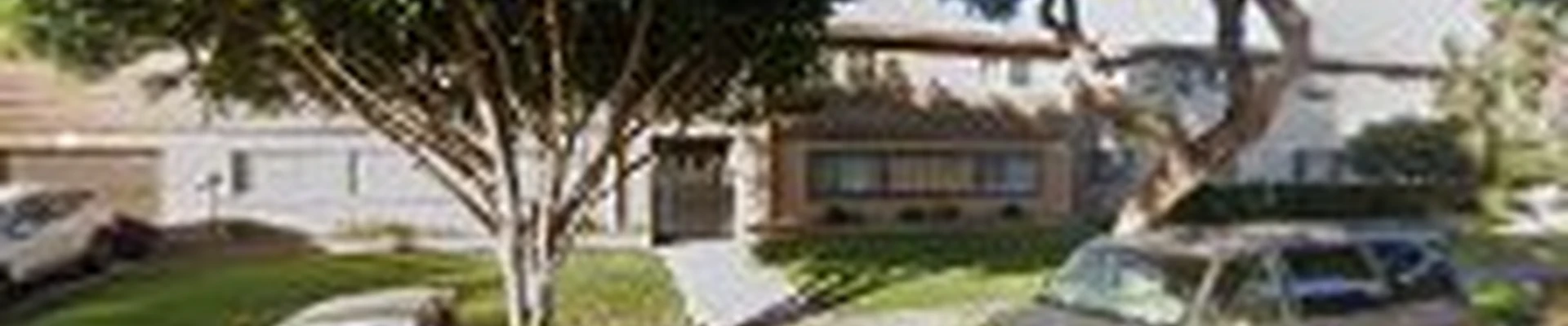 Garden Grove Tree Experts