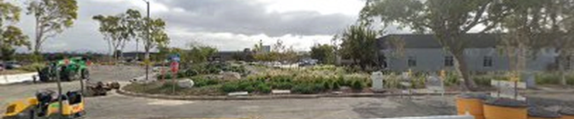 Tree Service Costa Mesa