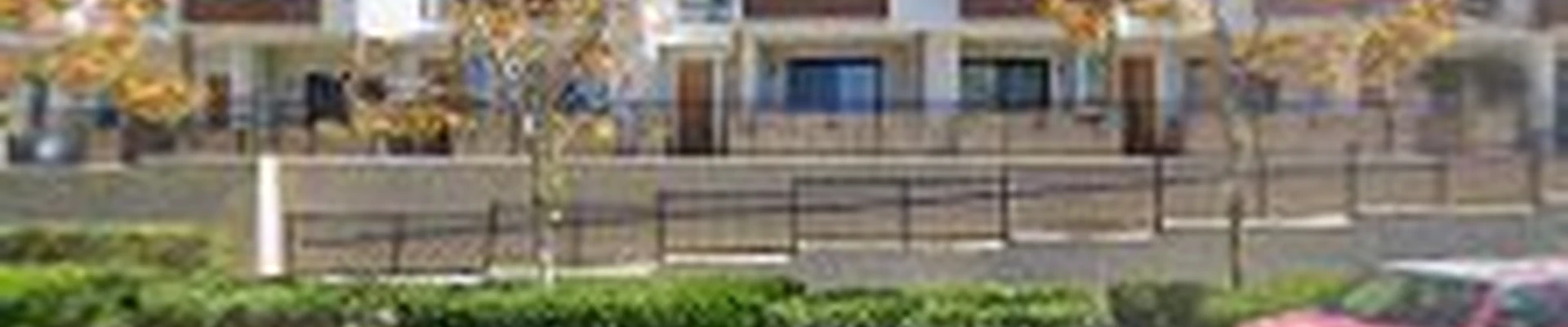 Costa Mesa Pro Tree Care