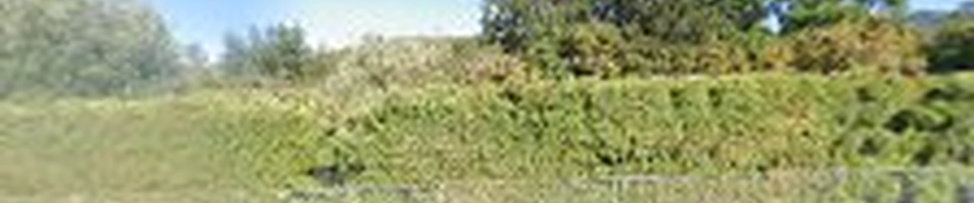 Specialized Tree Care & Landscape