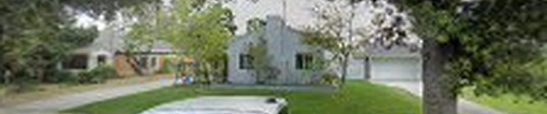 BG Tree Service and Landscape