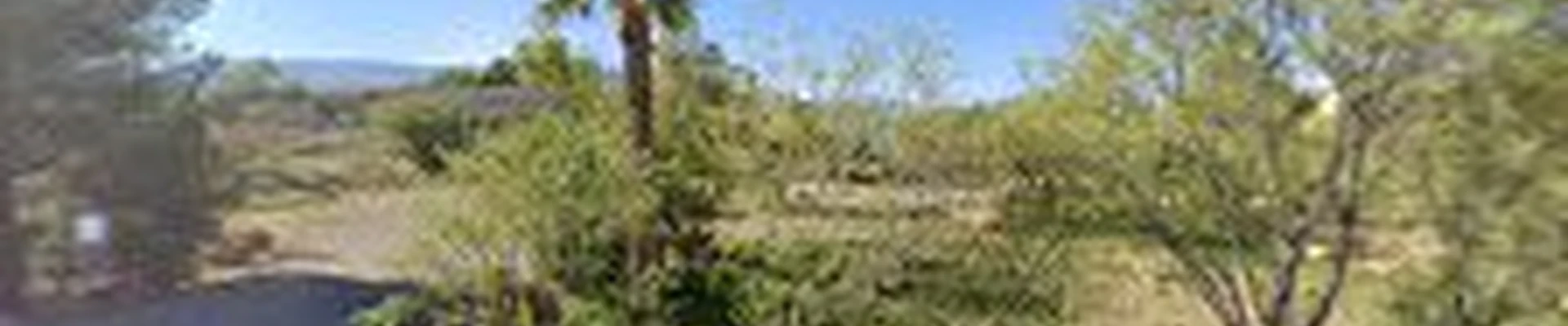 Cottonwood Tree Service