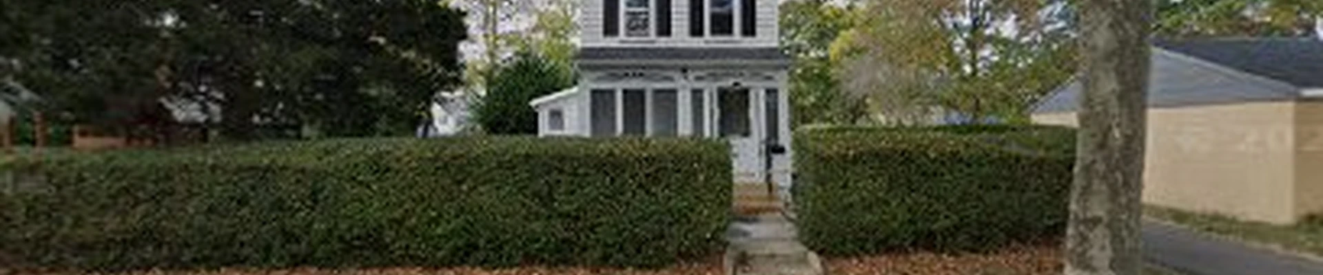 G & T Professional Tree Services