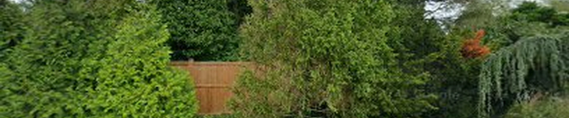 Amagreen Tree & Lawn Service