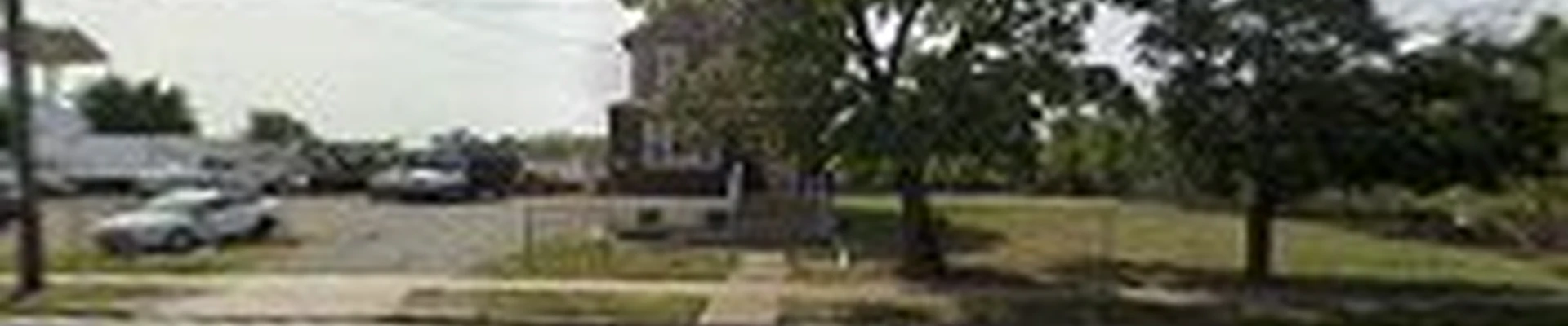 Daivis Tree Service.