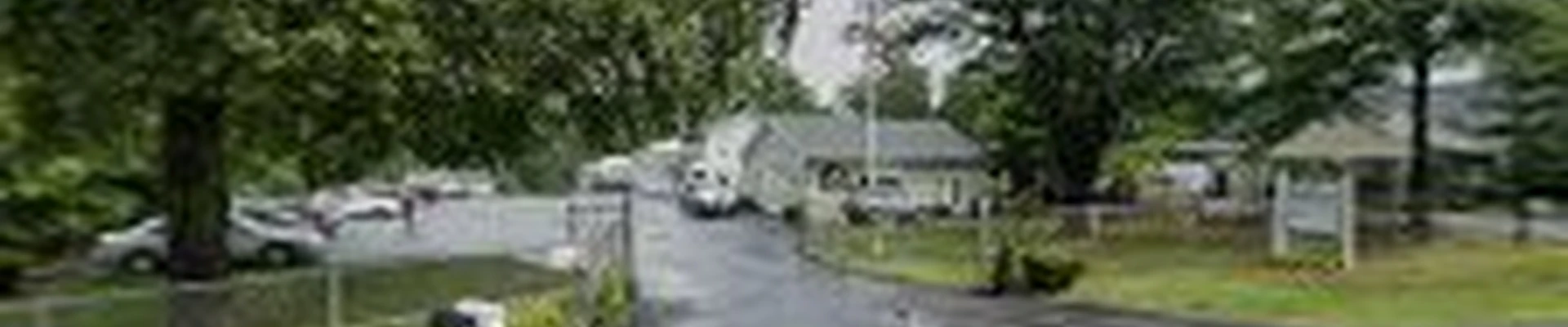 SavATree - Tree Service & Lawn Care