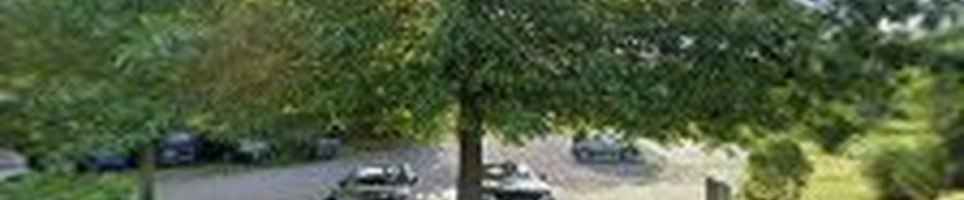 Arbor releaf tree expert's LLC