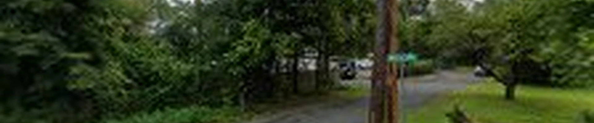 Cascade Tree Experts