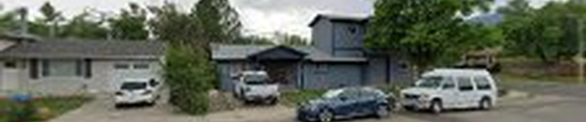 Eco Tree Service
