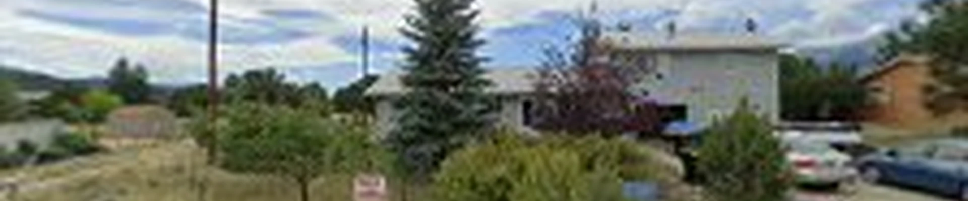 Sage Tree Care