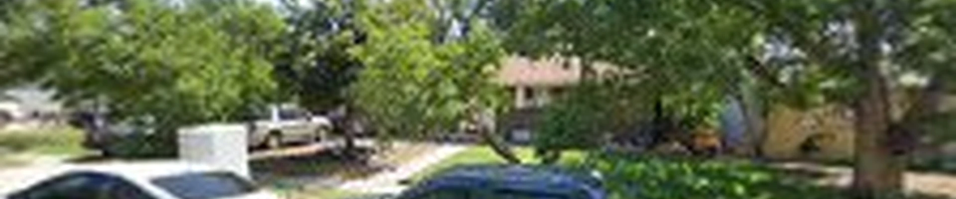 Avalanche Tree Service Ltd