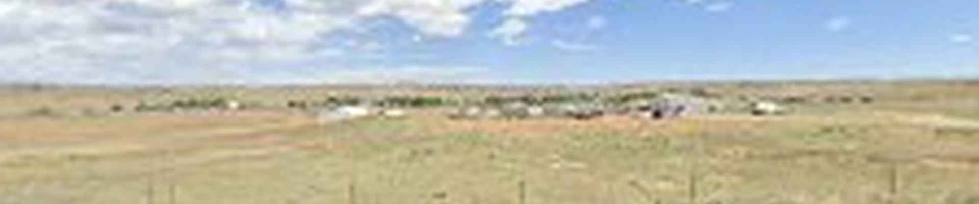 Gilbert's Tree & Landscape, Inc.
