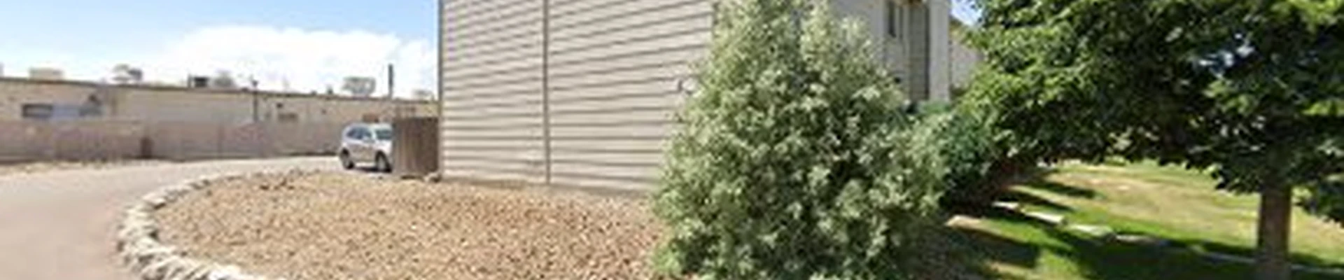 Tree Care Chicago