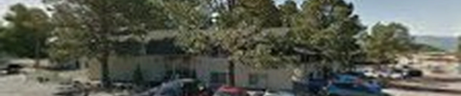 MT Tree Services LLC