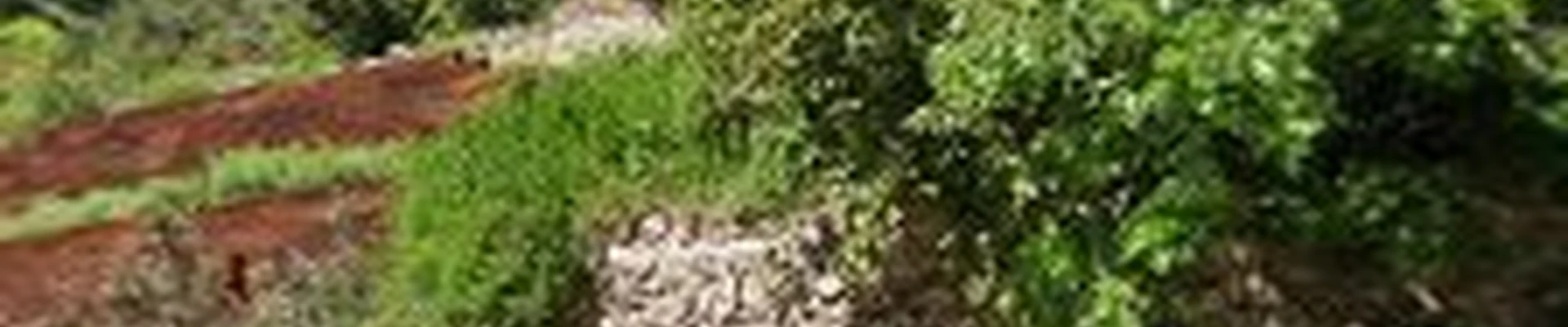 Clean Air Lawn Care Colorado Springs