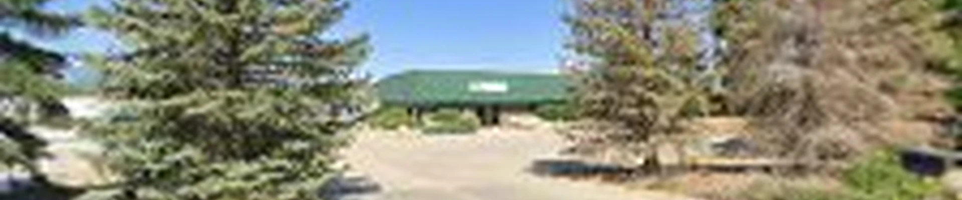TruGreen Lawn Care