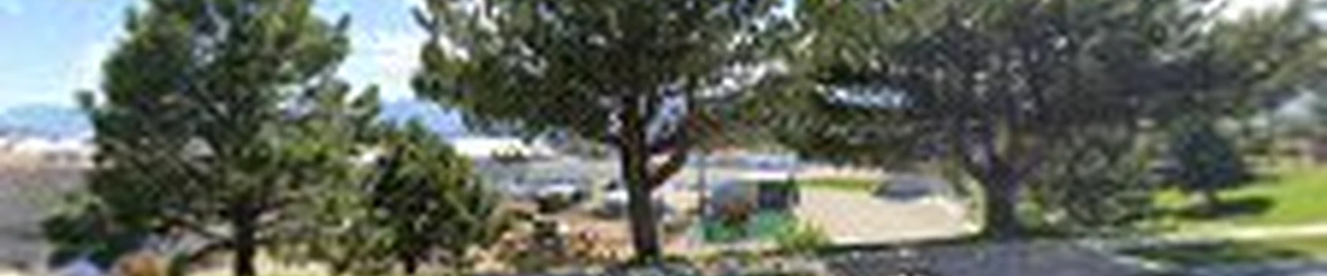 Walmart Garden Center