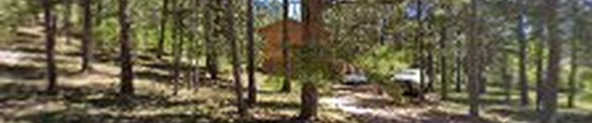 Pineland Tree Services