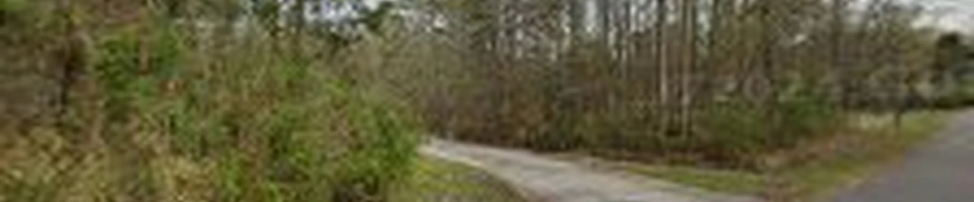 Affordable Tree Service & Firewood