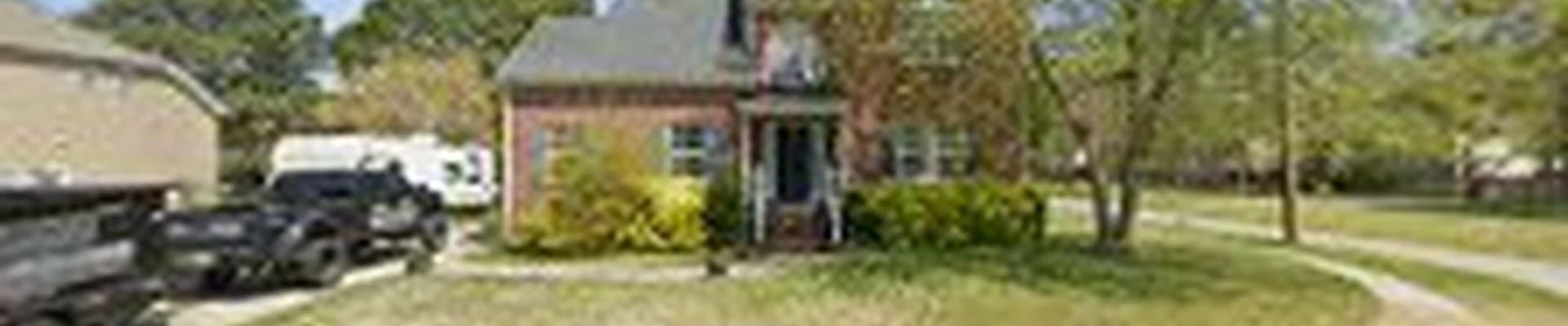 Absolute Tree Surgeons LLC
