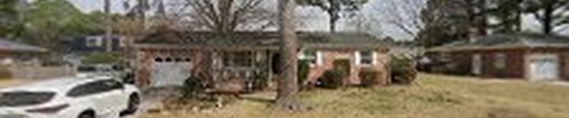 Scott Lanes Tree Service