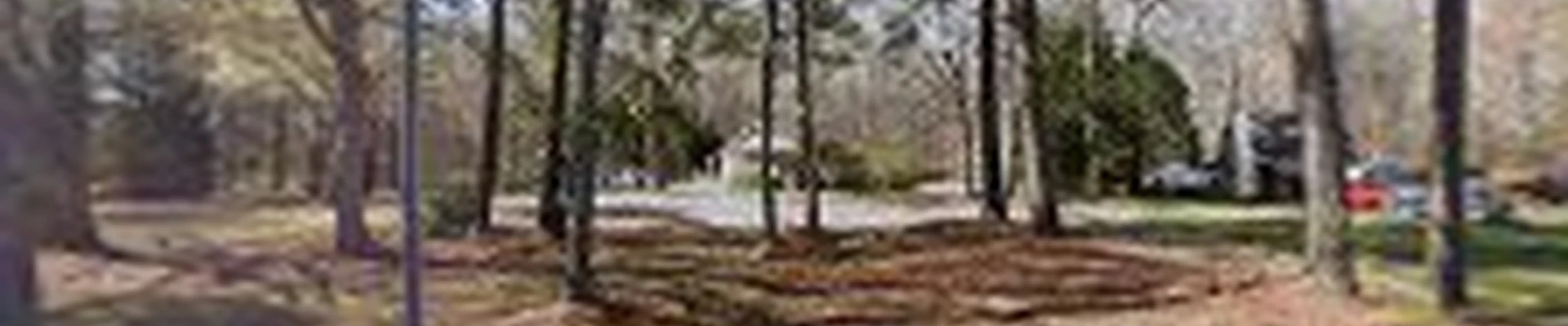Simpson's Tree Service