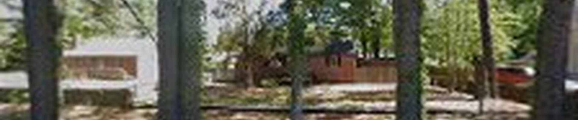 Tree Works, LLC