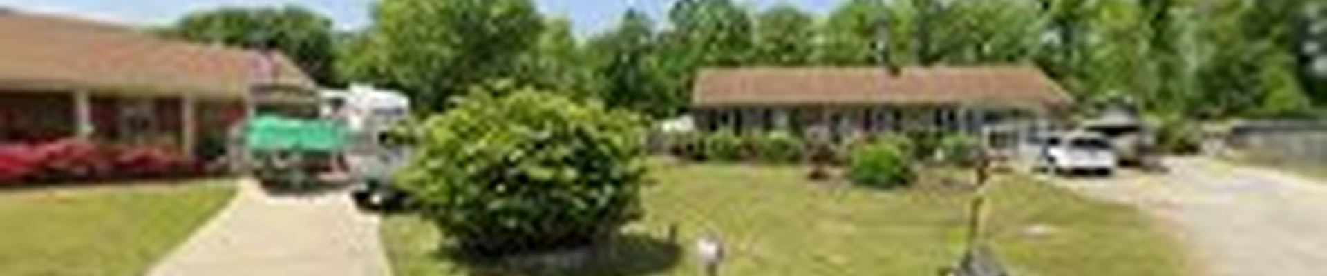 Little Scott’s tree care