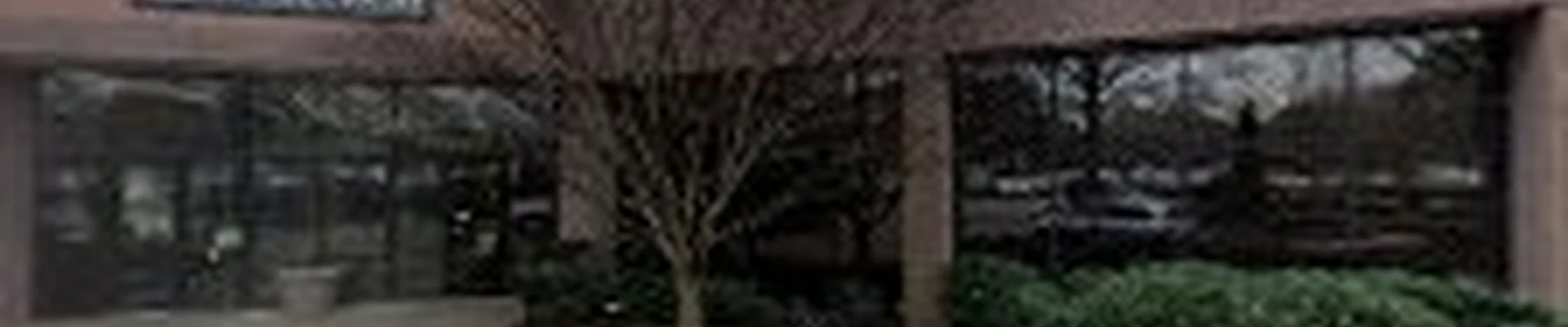 True Gen Tree Service LLC