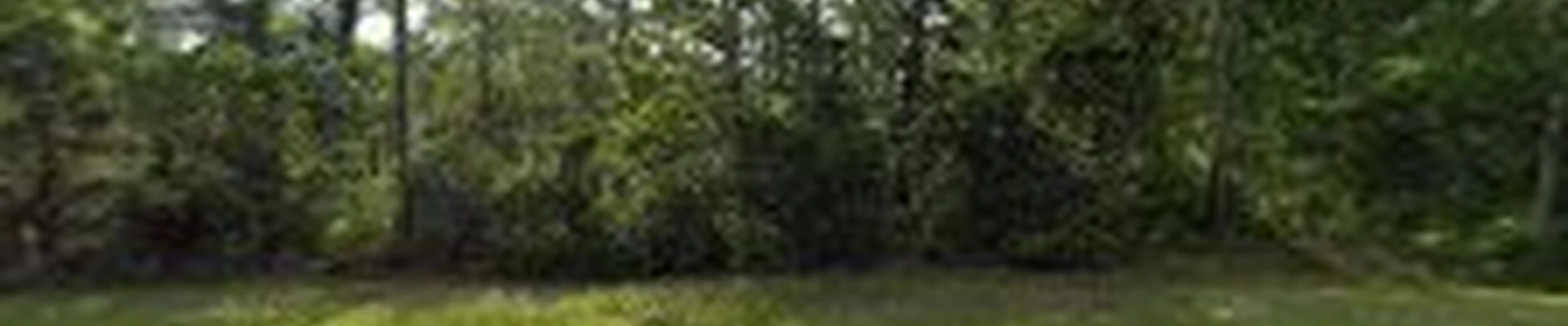 ATX Atlantic Tree Experts