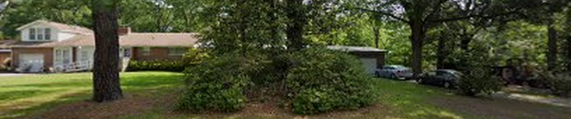 Steve's Tree Service