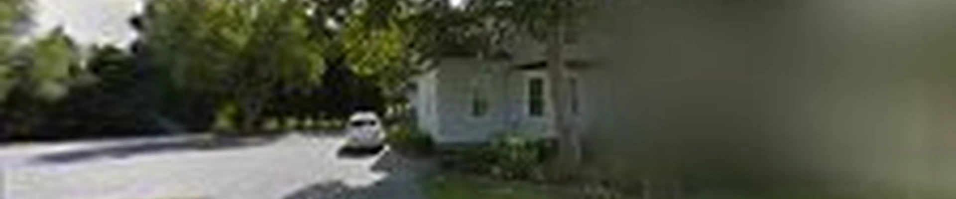 Orleans Co. Tree Service