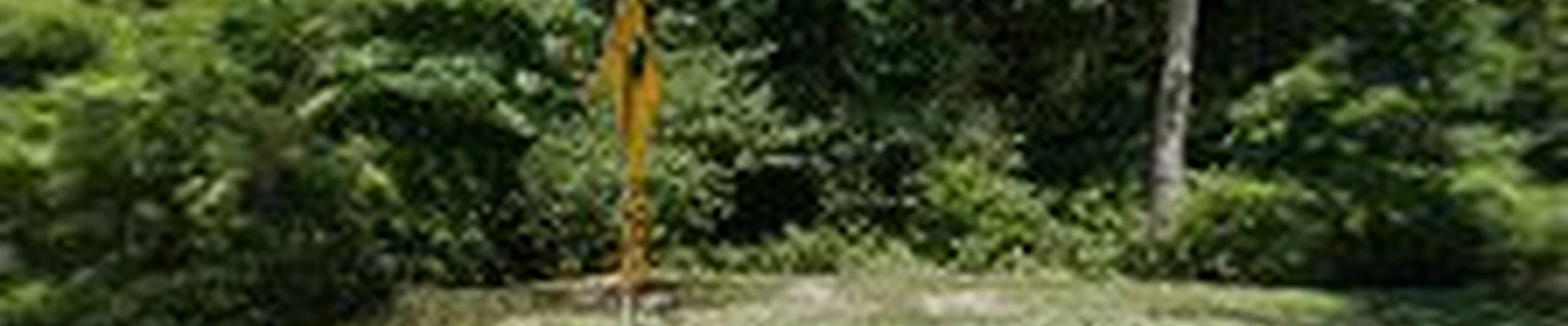 Brad's Tree Service