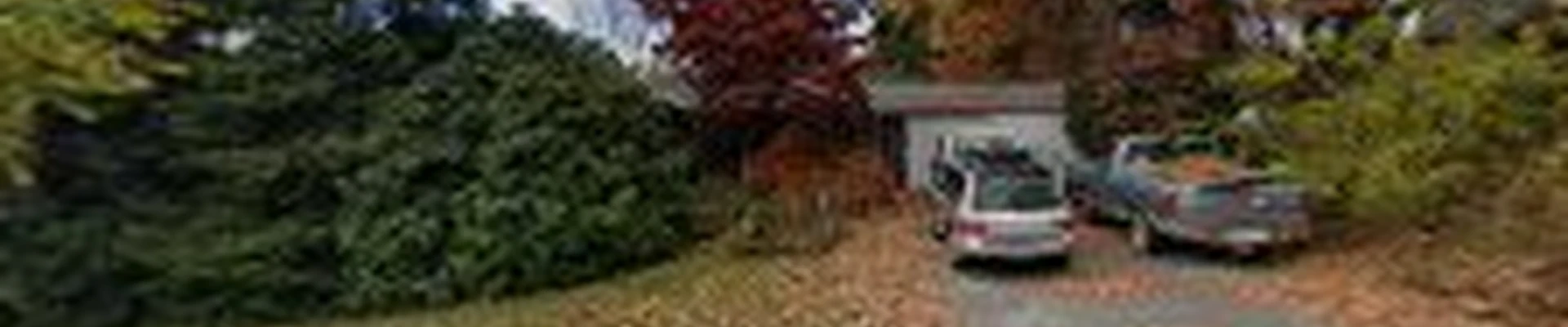 Blue Ridge Tree Specialists