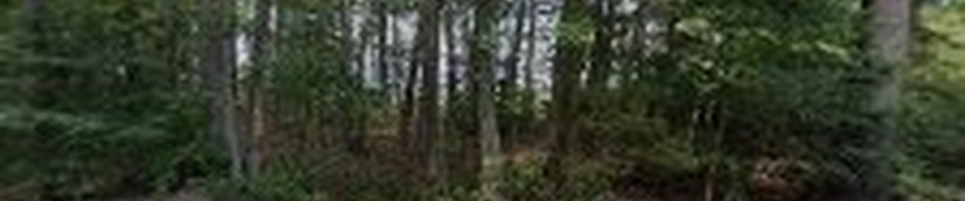 Whispering Tree Service