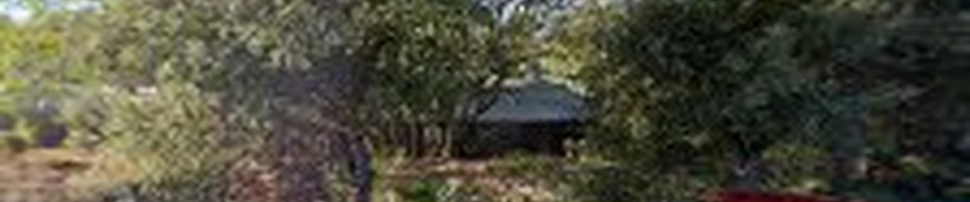Caceli Tree Care
