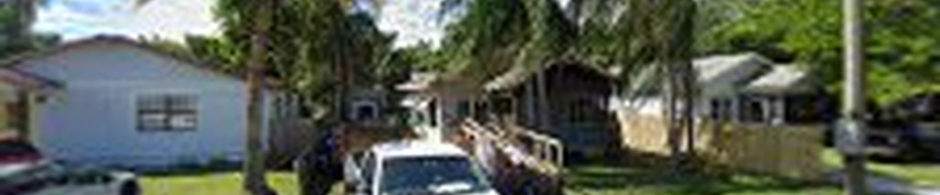 St Pete Tree Service