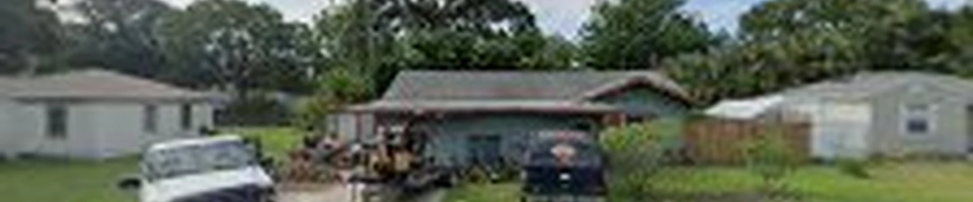 Dave & Jo's Tree Service