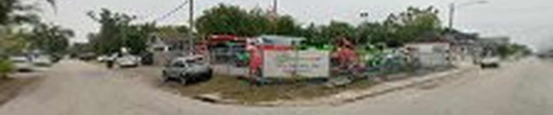 Independent Tree Service, Inc.