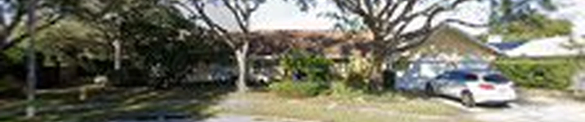 A Low Cost Tree Service™ Removal & Trimming