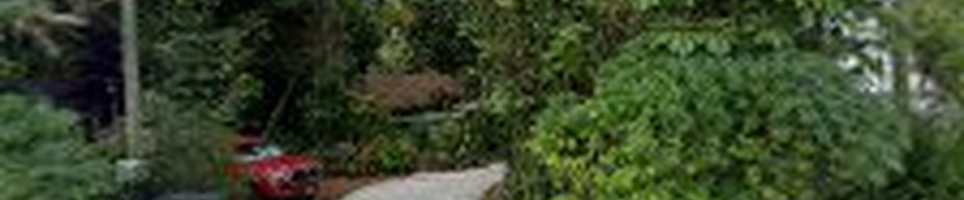 Panorama Tree Care