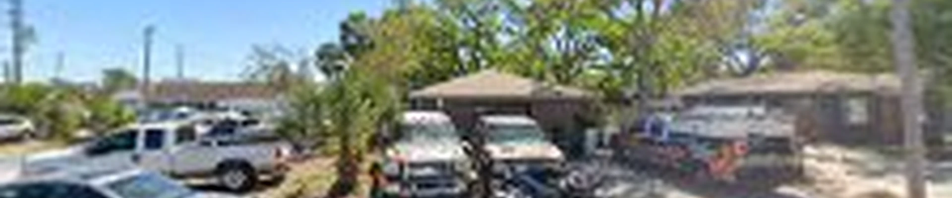 Tree Rangers Tree Service