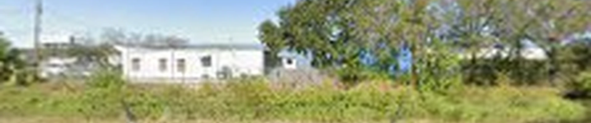 Pinellas Tree Service