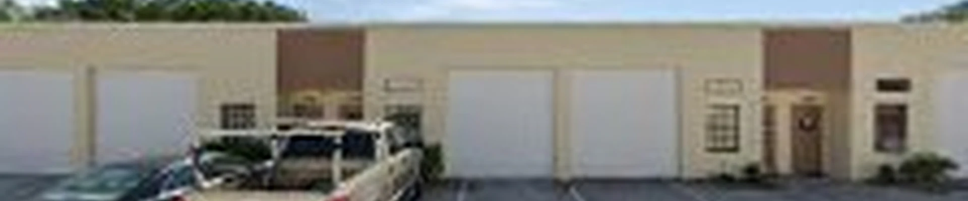 Tampa Bay Tree Service