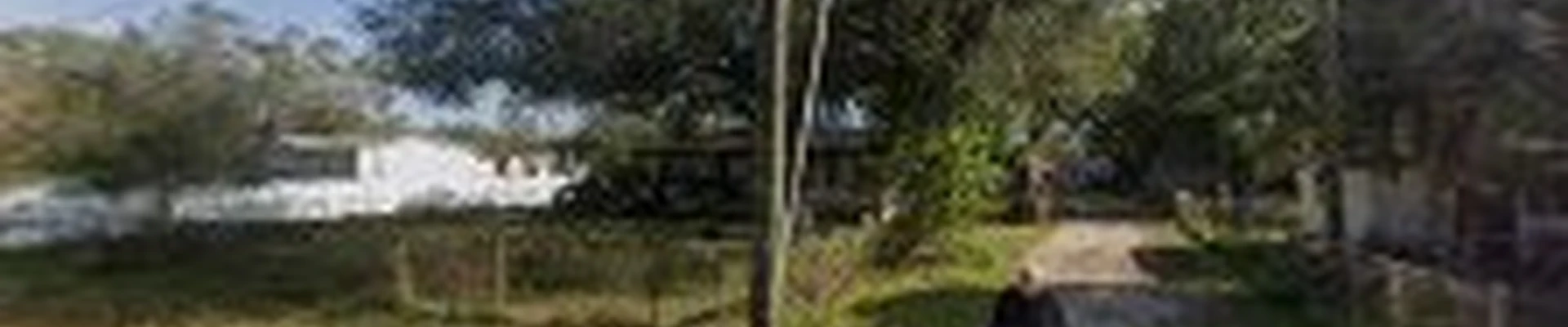 Ambush Tree Service