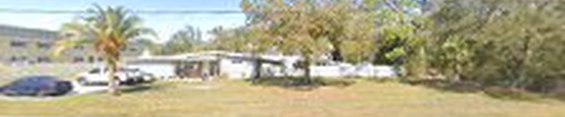 Black Eagle Tree Services