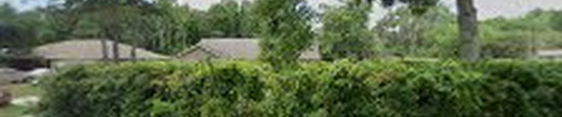 Knuckleheads Tree Service, Inc